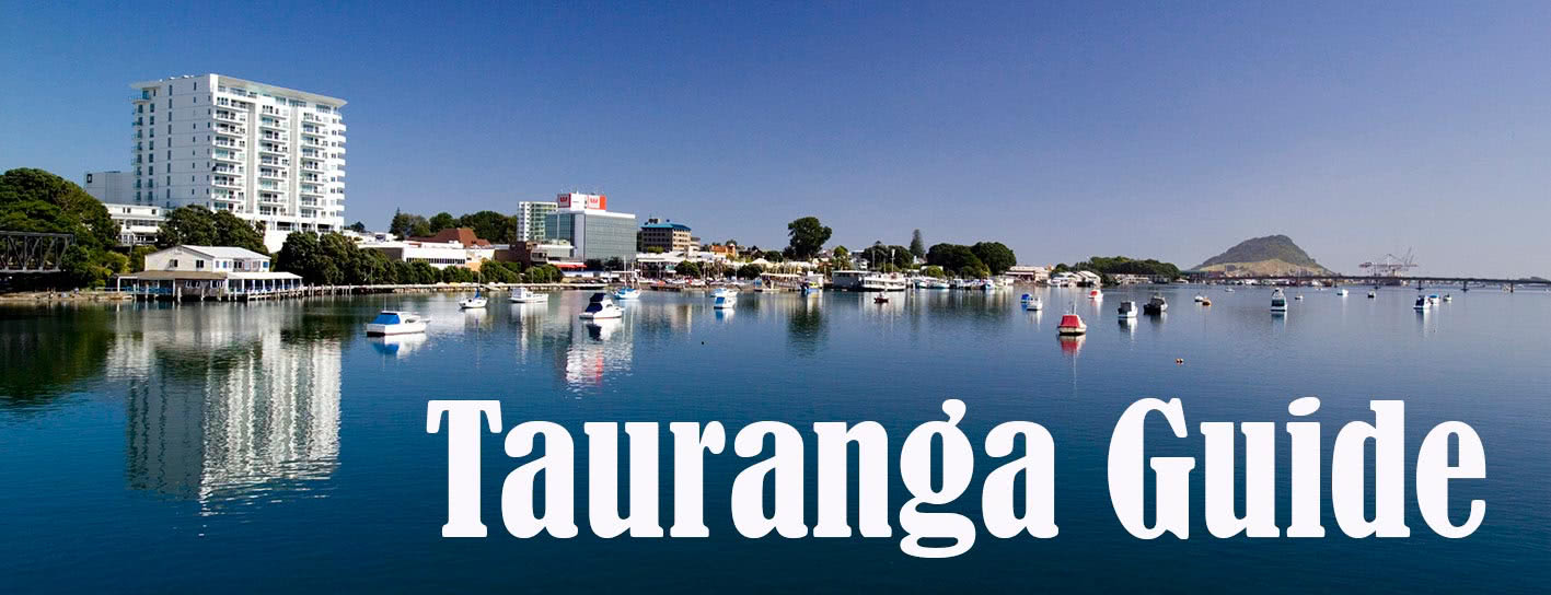 Compare Car Rental Tauranga Deals - Enjoy Big Discounts